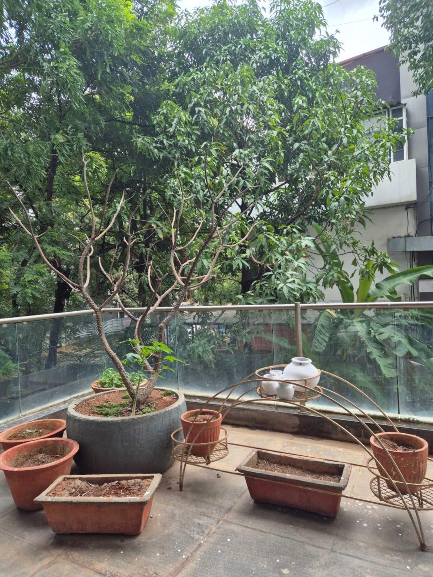 Elite Viman Nagar Guest house *